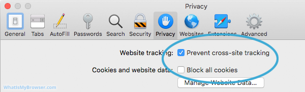 The contents of the Safari Privacy tab.